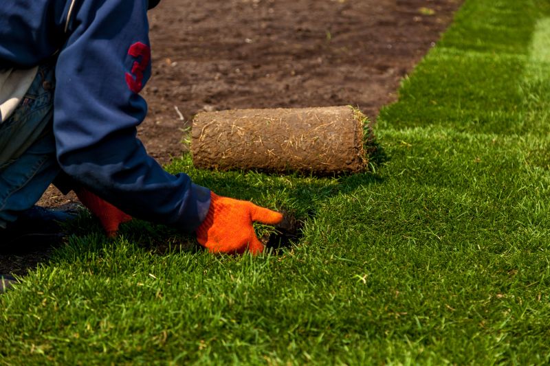 Sod Removal Services Overview