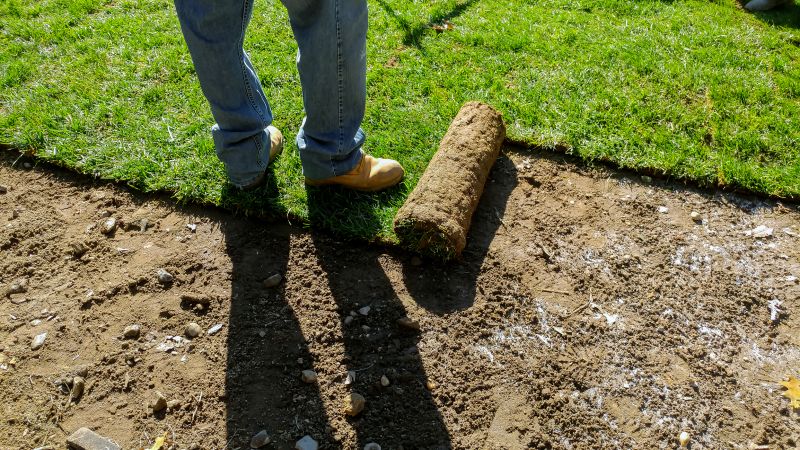 Sod Removal