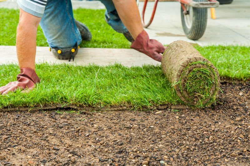 Sod Removal