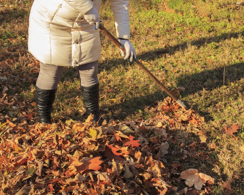 Fall Lawn Maintenance
