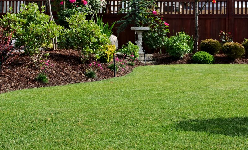 Landscaped Yard