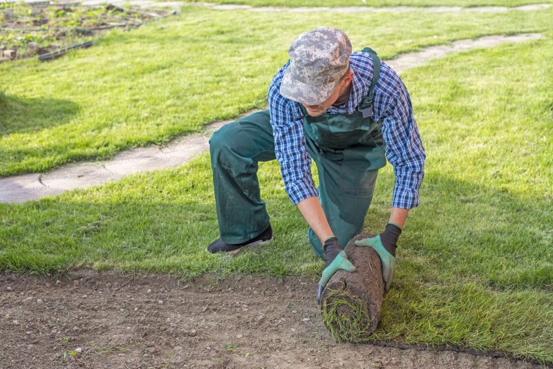 Products For Sod Removals in use